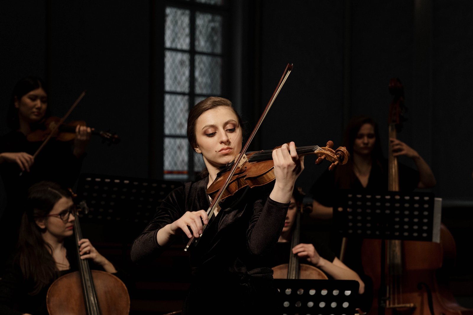 Violín